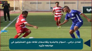 تعادل درامي.. أسوان والبلدية يتقاسمان نقاط دوري المحترفين في مواجهة مثيرة
